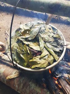 Ayahuasca brew cooking in the jungle. Photo: Trenton Doyle.