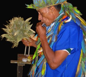 Taita Alfredo playing the harmonica during a Yage ritual. Photo: J. Imbachi Ⓒ El Mundo Magico