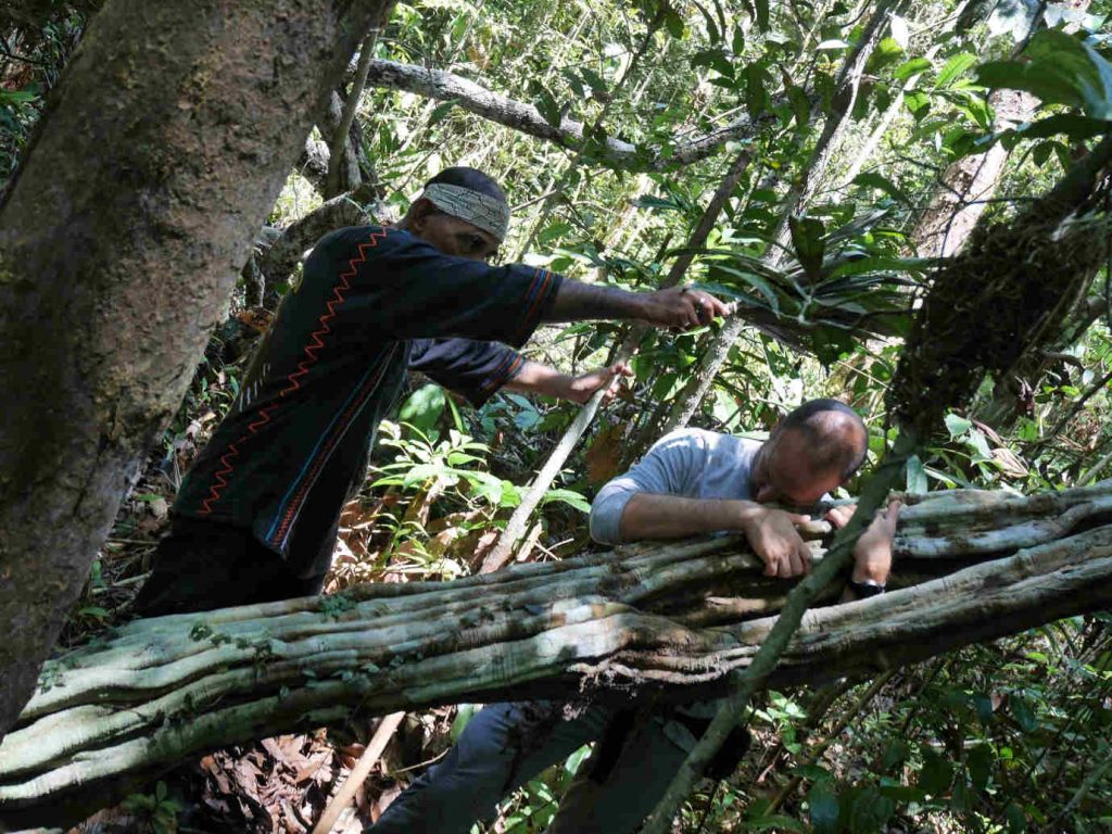 Shamanic ritual with a giant black ayahuasca vine in the Amazon jungle, with Maestro Palero Don Guido.