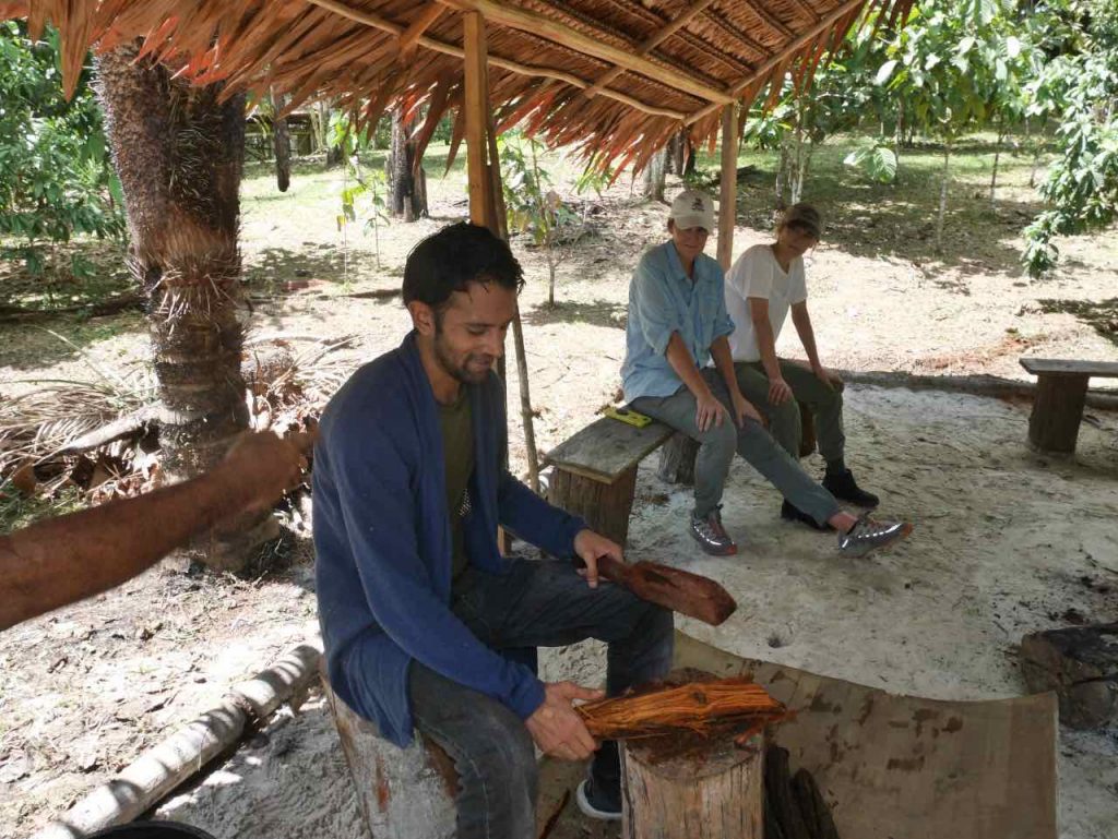 Pounding the Ayahuasca vine for the ceremony at night.