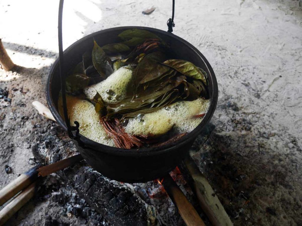 Ayahuasca cooking in our centre, in the Peruvian Amazon jungle