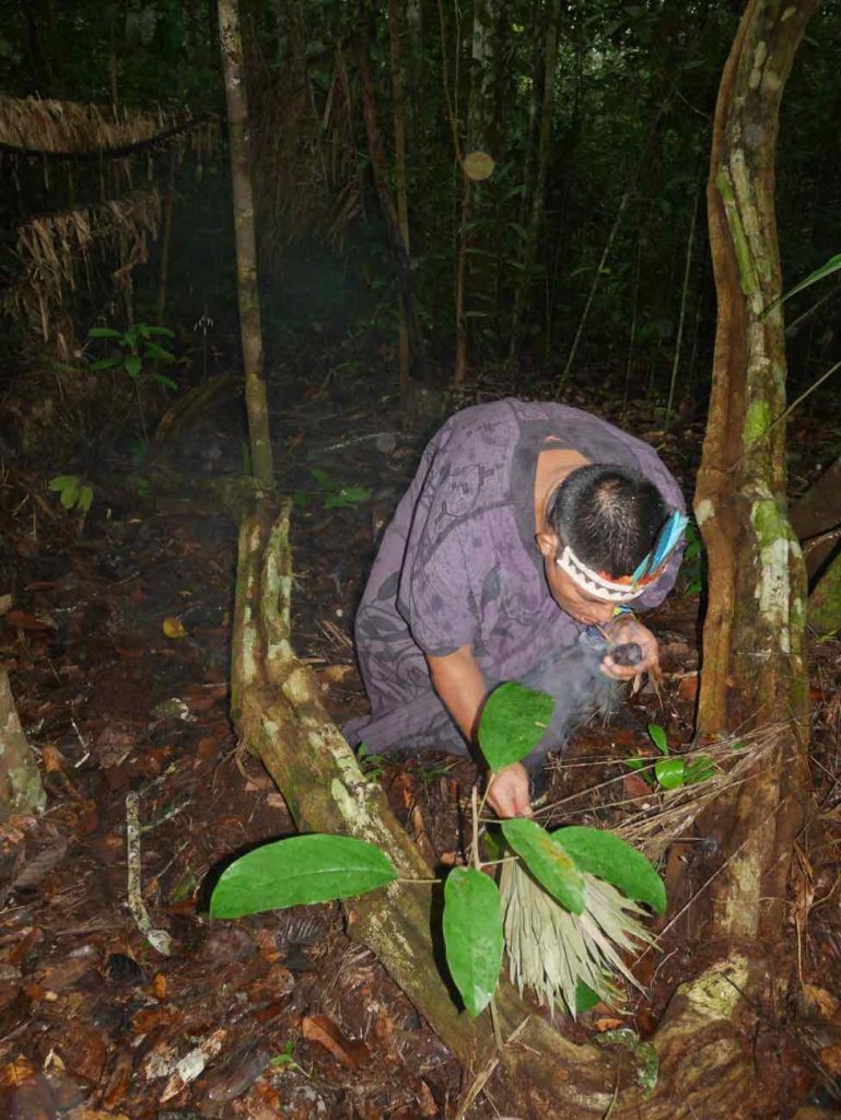 Suni ayahuasca (black ayahuasca) ritual with Don Armando in the jungle