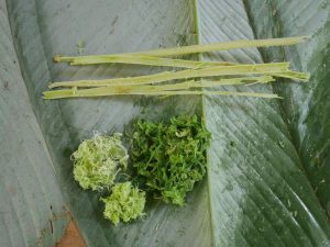Fresh Toè scrapings.