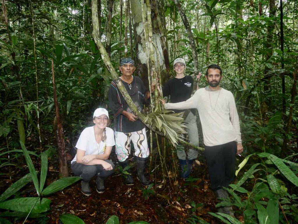 Dieters with master Palero shaman Don Guido, by a Huarmi renaco teacher vine, in the Amazon jungle. This vine is shamanically considered to have "female" energy, and belongs to the category of "love plants".
