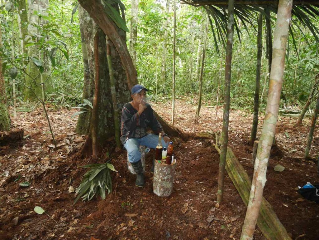 Special daytime Ayahuasca ceremony in the jungle, with master shaman Don Guido, in front of an ancient, iconic, giant black Ayahuasca vine growing wild in the rainforest.