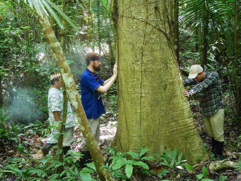 Apprentices doing a shamanic ritual with the Puca lupuna master tree, in the Amazon rainforest of Peru.